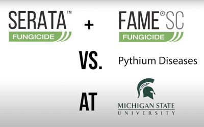 Dr. Ken Hutto’s Field Trial Road Trip 2: Serata + Fame SC vs. Pythium Diseases at Michigan State