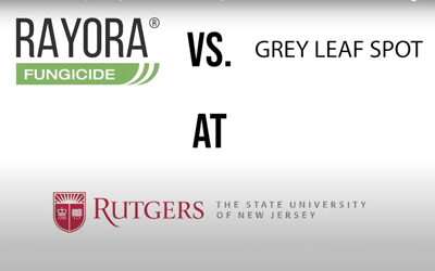 Dr. Ken Hutto’s Field Trial Road Trip 5: Rayora vs. Grey Leaf Spot at Rutgers
