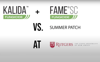 Dr. Ken Hutto’s Field Trial Road Trip 4: Kalida + Fame SC vs. Summer Patch at Rutgers