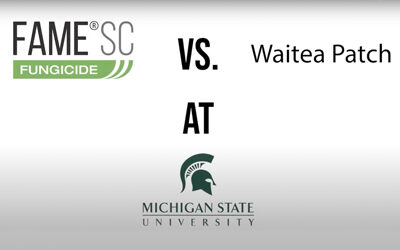 Dr. Ken Hutto’s Field Trial Road Trip 6: Fame SC vs. Waitea Patch at Michigan State