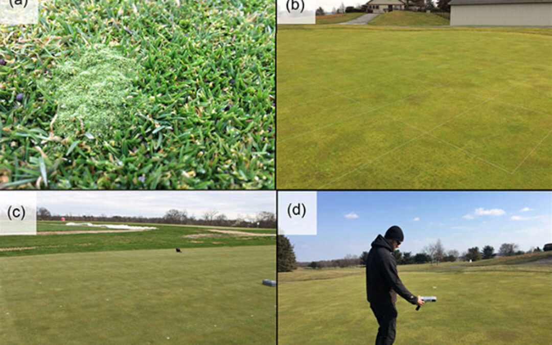 Evaluating mid-winter applications of Quicksilver for silvery-thread moss